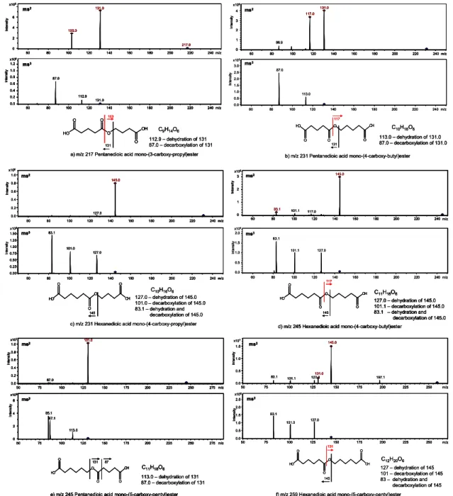 Fig. 3. Structures and fragmentation patterns of synthesized ester compounds.