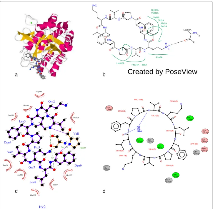 Figure 3 Diagrams produced by LigPlot+, PoseView and LeView for Gramicidin S (PDB entry 1TK2)