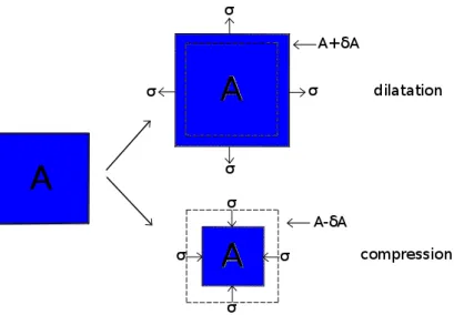 Figure 1.13 – Schéma illustrant la déformation par dilatation ou par compression d’une interface d’aire A.