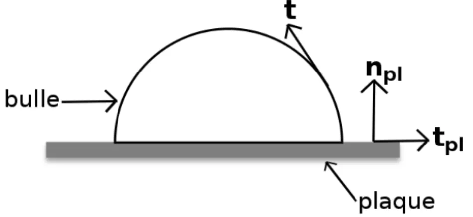 Figure 2.2 – Vecteur tangentiel ( t ) en un point quelconque de l’interface, vecteurs normal ( n pl ) et tangentiel ( t pl ) à la plaque.