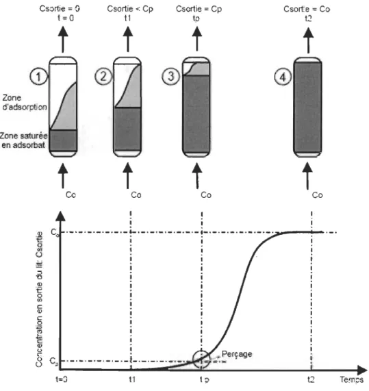 Figure 3.  Cinétique de l' adsorption: courbe de percée pour un lit fixe (<<  breaktrhough curve »)