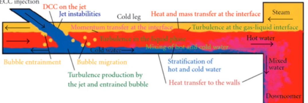 Figure 3: Schematic view of the flow regimes and phenomena occurring during a PTS situation with partially filled cold leg [82].