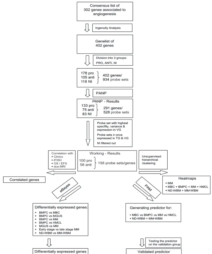 Figure 1. Genes and probe sets included in the respective parts of the analysis. Shown is our strategy for selecting angiogenesis-related genes