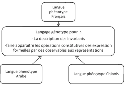 Figure 5:  Le  modèle de la  Grammaire Applicative Universelle (GAU) de Shaumyan (1987) 
