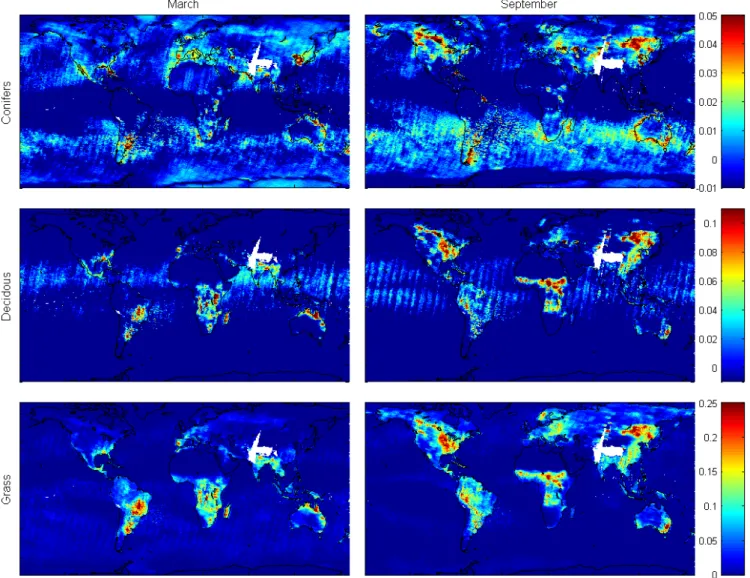 Fig. 7. Global monthly mean results of the DOAS retrieved fitting coefficients for (the logarithms of the) different vegetation spectra (top: