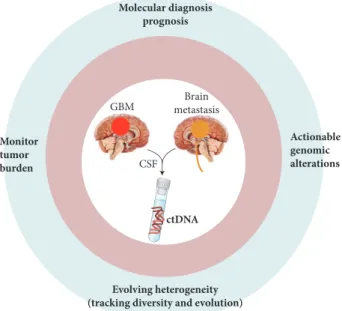 Figure 1. Potential use of CSF ctDNA as a liquid biopsy for primary brain tumours and brain metastasis.