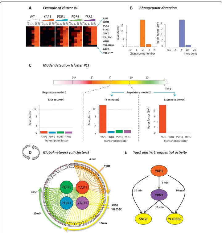 Figure 4 Time-dependent regulatory network involved in yeast chemical stress response