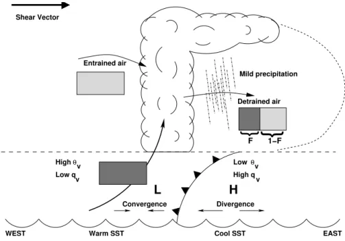 Fig. 2. A schematic of the cumulus dynamics. Sub-cloud air was forced over a cold pool gener- gener-ated by evaporating precipitation