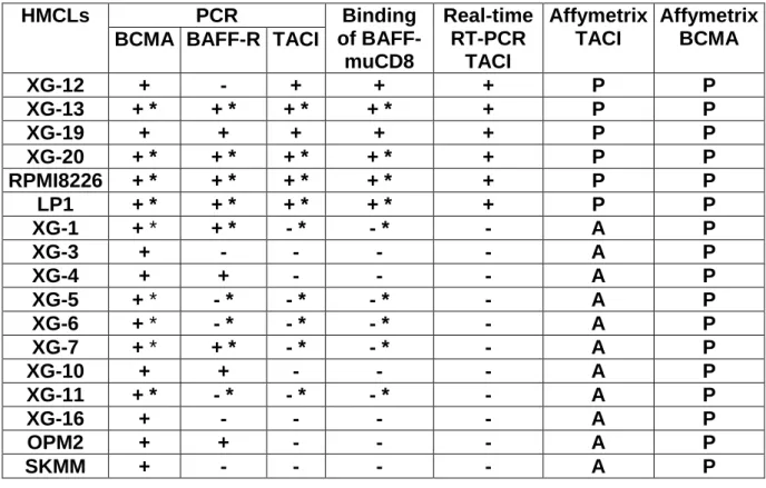 Table 1. TACI gene expression yields a BAFF/APRIL receptor with functional binding  capacity in HMCLs