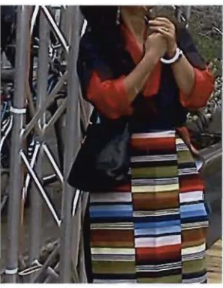 FIGURE 4- LA CHUPA AVEC LE TABLIER 