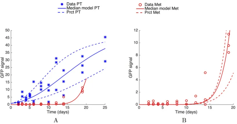 Fig 2. The standard theory: Primary tumour and metastatic burden dynamics fitting. (A) Fits of the primary tumour and metastatic burden dynamics, under a mathematical model assuming independent growth of each secondary tumour and using mixed-effects modell