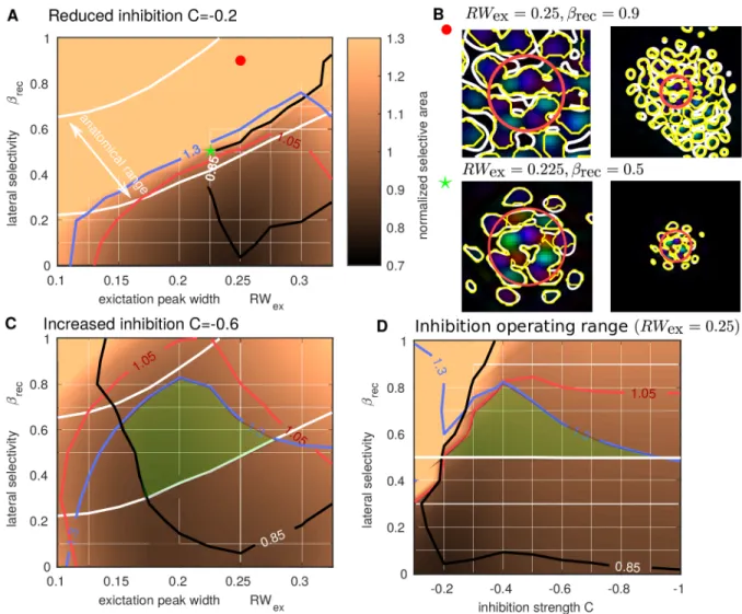 Fig 9. Reduced inhibition case: Anatomical parameter range and profile of orientation selective activation
