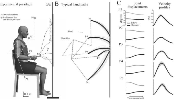 Figure 2. A. Illustration of the experimental paradigm. The reachable region from the sitting position is emphasized on the bar