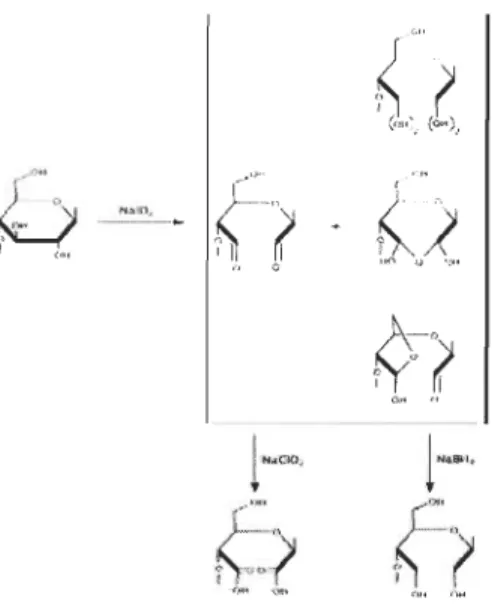 Figure 2.10  Schéma réactionnel de l'oxydation au periodate de sodium sur la  cellulose 