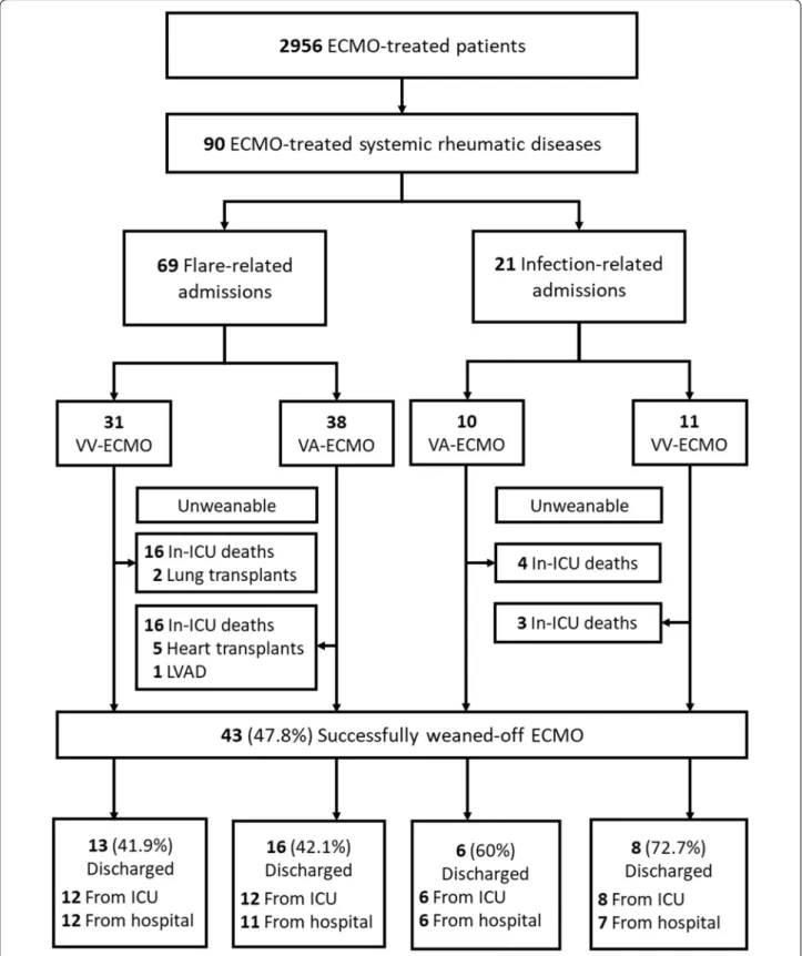 Fig. 1  Flow chart of the 90 patients with systemic rheumatic disease requiring extracorporeal membrane oxygenation