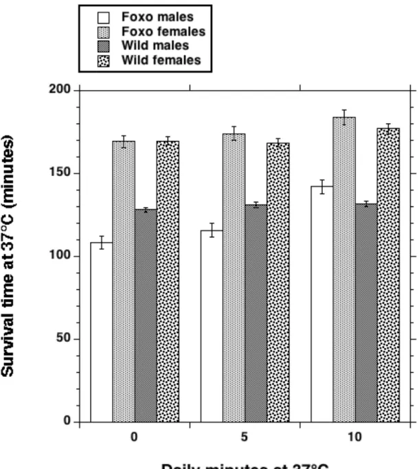 Figure 3. Mean survival time ± SEM at 37 °C of 13-16 day-old flies subjected or not to a heat pretreatment at young age (0, 5, or 10 min at 37 °C daily from 5 to 9 days of age)