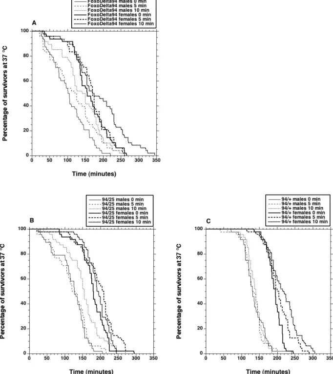 Figure S2. Survival curves at 37 °C of 13-16 day-old dFOXO and control flies subjected or not to a heat pretreatment at young age (0, 5, or 10 min at 37 °C daily from 5 to 9 days of age): n = 48 for each curve, except for the D and E figures for which it i