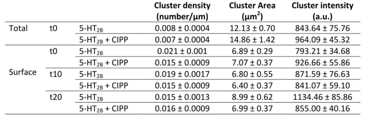 Table S1: Characteristics of 5-HT 2B  receptor clusters in neurons expressing the receptor  alone or in combination with CIPP (Illustrated on figure 3C-D and 5A-B)