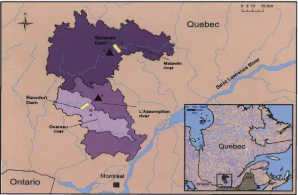 Figure 1. Location of the L' Assomption River and Matawin River watersheds. 