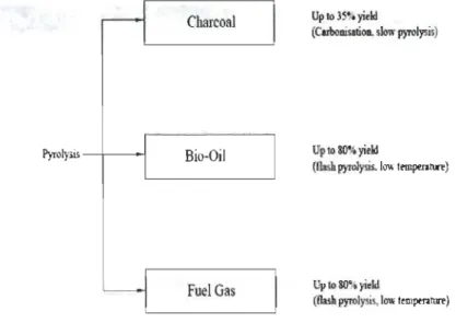 Figure 1.2:  Energy products from  pyrolysis. 