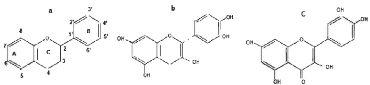 Figure 2.2  (a)  Squelette  typique  des  flavonoides,  (b)  catéchines  (Dixon  et  Paiva, 