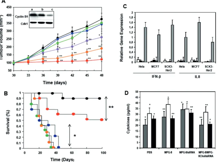Figure 7. Systemic administration of MPG-8/MPG-8chol/cyclin B1 siRNA blocks tumour growth in vivo