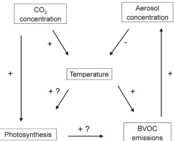 Fig. 1. Schematic figure of coupling of atmospheric CO 2 concen- concen-tration, assimilation of carbon by vegetation productivity  (ecosys-tem gross primary production GPP), emission of biogenic volatile organic compounds (BVOCs), and aerosol particle con