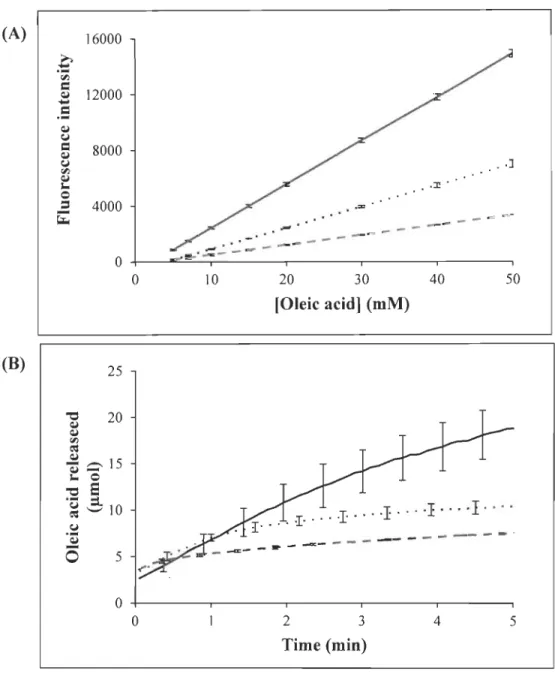 Fig.  3.  Measurements  of lipase  A  activity  using  RhB-OOe  at  different  pH. 