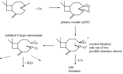 Fig. 5. Simplified oxidation scheme for the sesquiterpene β−caryophyllene with ozone. For simplicity one of both biradicals is shown only.