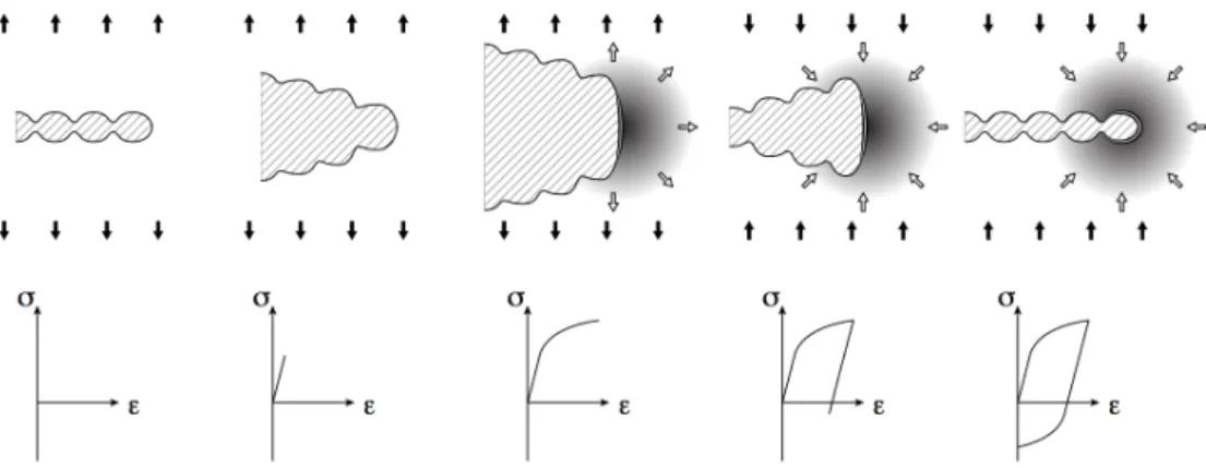Figure 1.8: Illustration of the crack growth mechanism based on the plastic blunting of the crack tip region (figure from [Brugier, 2017]).