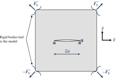 Figure 2.4: Illustration of the crack and boundary conditions of the 2D FE model.