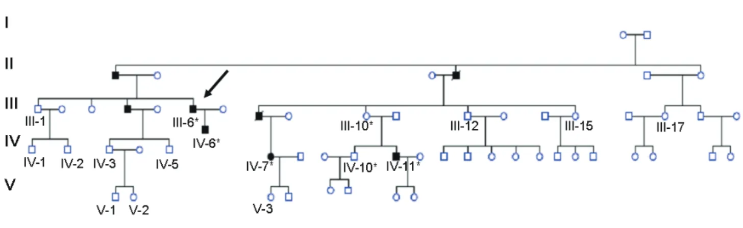 Fig. 1. Pedigree of the family