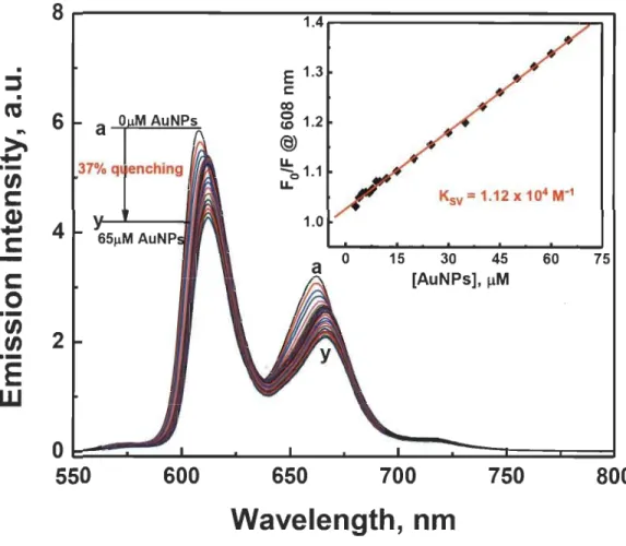 Fig. 6  Effect  of AuNPs  on  the  fluorescence  ernission  spectra  of MgTPP  solution  (2 .5  ~M)  in toluene: (a)  0, (b)  0.25 , (c) 0.5 , (d)  1, (e) 2,  (f)  3, (g) 4, (h) 5, (i) 6,  (j)  7, (k) 8,  (1)  9, (m)  10,  (n)  12,  (0)  15,  (P)  20, (q) 