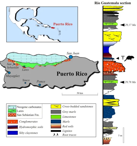 Figure 1. Location, geological maps, and stratigraphical context of the fossil-bearing locality (LACM Loc