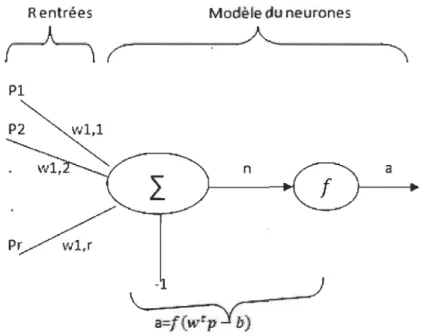 Figure 2 : Perceptron de neurone 