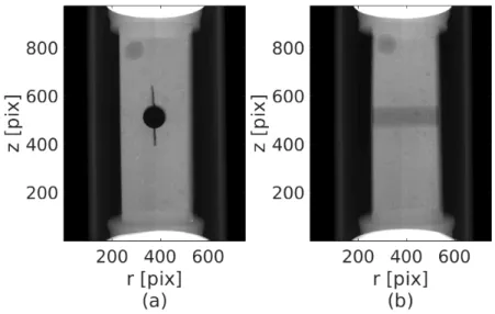 Figure 2.4: Sinogram of the reference state at (a) s(r, θ = 0 ◦ , t = 1) and (b) s(r, θ = 90 ◦ , t = 1)