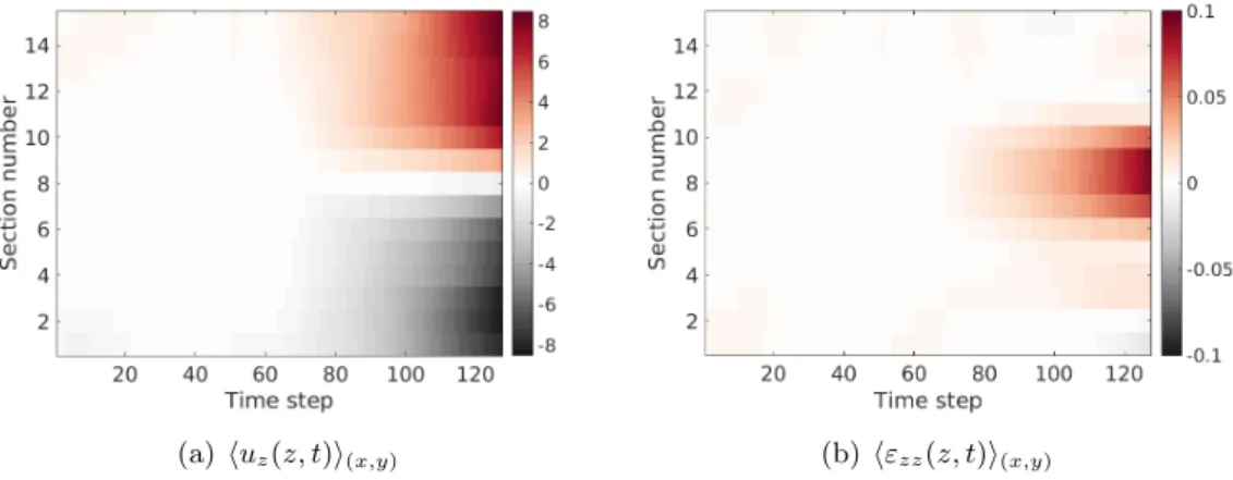 Figure 3.10: (a) Measured vertical displacement field for each sections without rigid body motions, expressed in voxels, and (b) corresponding vertical strain