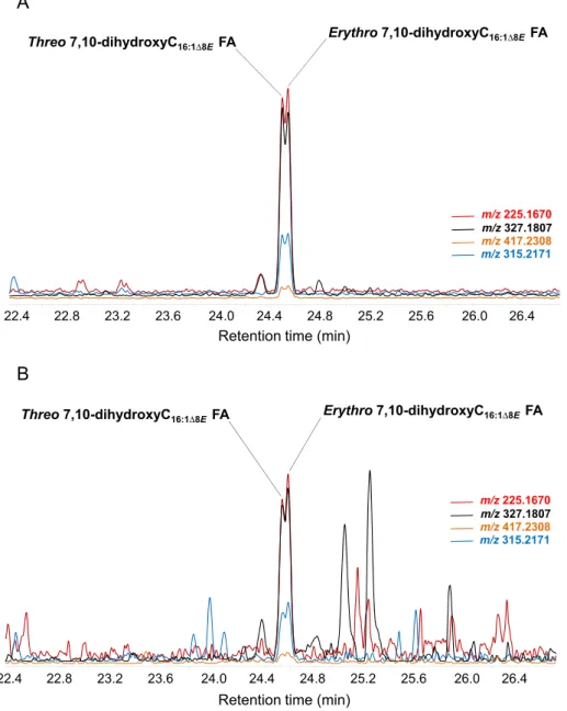 Fig. 4. Partial m/z 225.1670, 315.2171, 327.1807, 487.3090 chromatograms showing presence of 7,10-dihydroxyhexadec-8(E)-enoic acid in: (A) surface sediment from the Mackenzie River plume (Station M434) (70°10 0 12 00 N, 133°35 0 24 00 W) and (B) in SPM fro