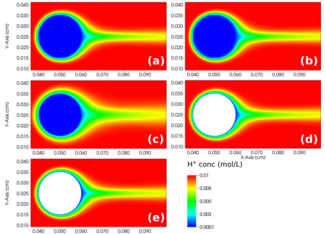 Fig. 4 Steady-state concentration contours for the two-dimensional dissolution of a cylindrical calcite grain obtained from a  OpenFOAM-DBS, b lattice Boltzmann, c vortex, d Chombo-Crunch, and e  dissol-Foam simulations with concentrations in units of mol/
