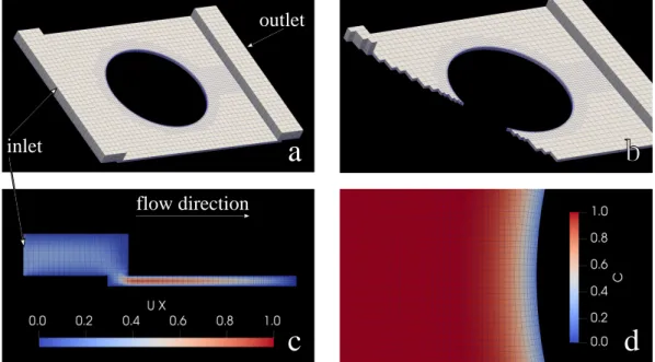 Fig. 2. Simulation of the microfluidic cell: a) the microfluidic device with the gypsum cylinder as empty space