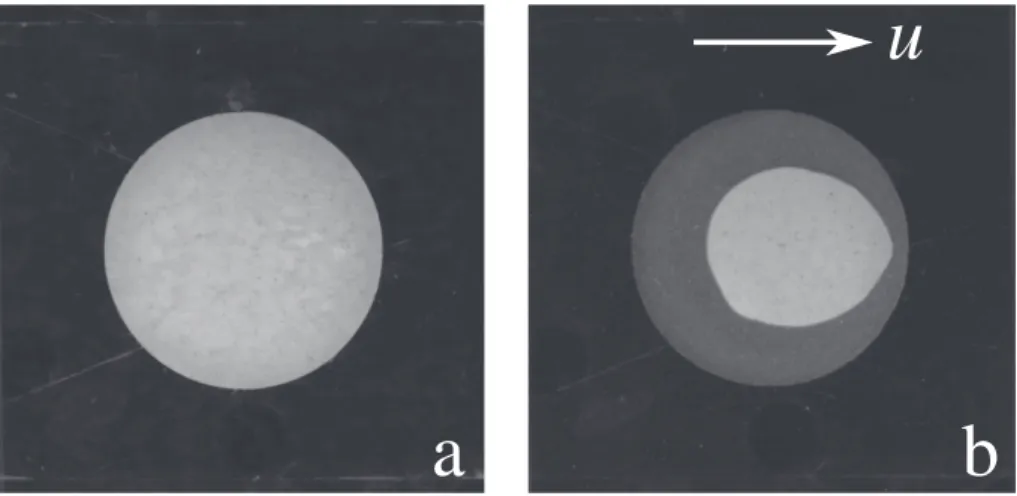 Fig. 4. Sample volume V, normalized by its initial value V 0 , is plotted as a function of time for two experiments (solid lines); the samples were made from sculpting plaster (pAx)