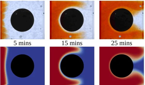 Fig. 6. Effect of sample impurities on the dissolution rate. Results from ex- ex-periments using sculpting plaster (pA2, dashed red line) are compared with experiments using samples made from analytical grade hemihydrate (pBx, solid lines)