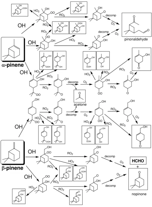 Fig. 2. Schematic representation of the major features of the OH-initiated degradation of α- and β-pinene in the absence of NO x , as applied in the present work