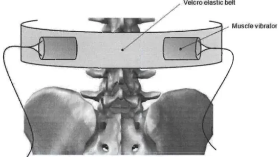 Figure 2.  Experimental set-up for location of the applied vibration. 