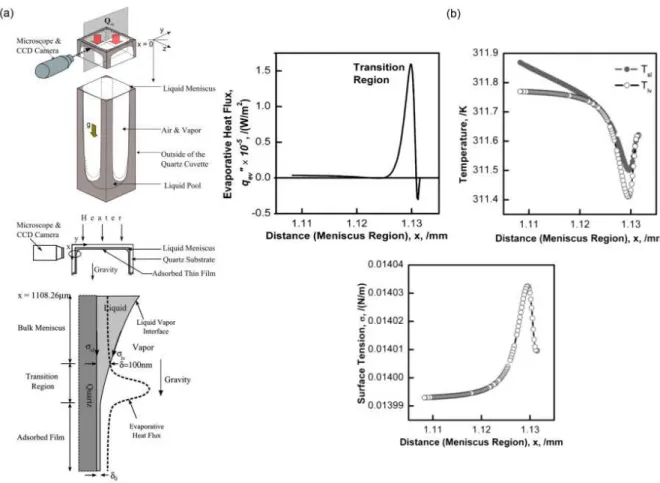Fig. 2.14: (a) Schematic representation of the experimental set cross-sectional view of the top