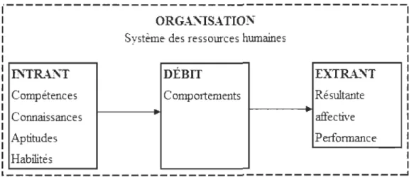 Figure 14 - Modèle d'un système ouvert du système des ressources humaines 
