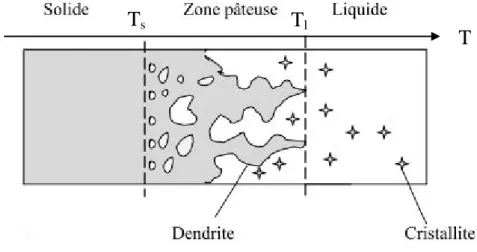 Figure 2.5 : Aspect microscopique du changement de phase  dans les matériaux non purs  