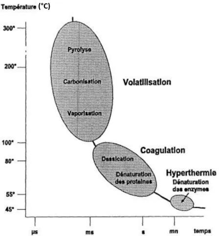 Figure 2.8 : Températures seuils entre dommages irréversible et réversible dans la peau [16,54]
