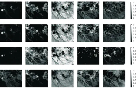 Fig. 2. Abundances estimated by four algorithms (From top to bottom: FCLS, NLCT, KFCLS, proposed)