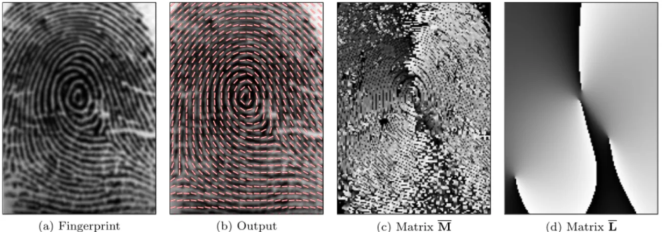 Figure 6: “Whorl” Experiment —see details in Section 5.2